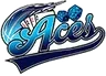 奈克王牌logo
