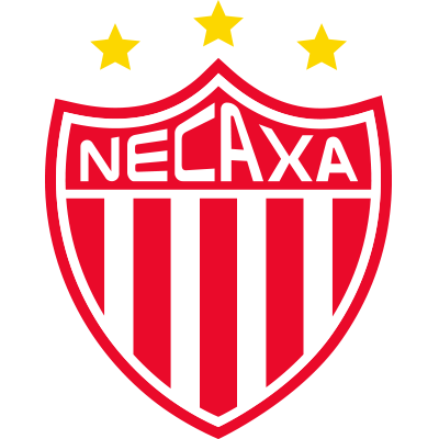 内卡萨logo