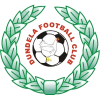 邓迪拉logo