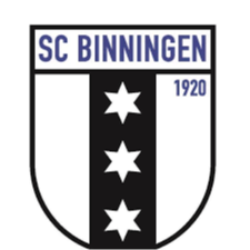 比宁根logo