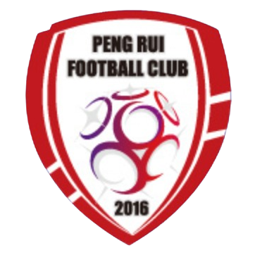 北京鹏瑞通程logo