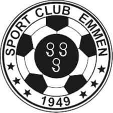 埃蒙logo