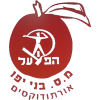 雅坲奥托都西姆logo