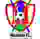 马舒贾足球俱乐部logo